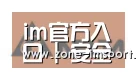 im入口合作伙伴六