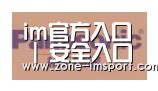 im入口合作伙伴四