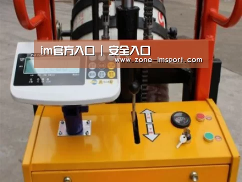 im入口案例展示三