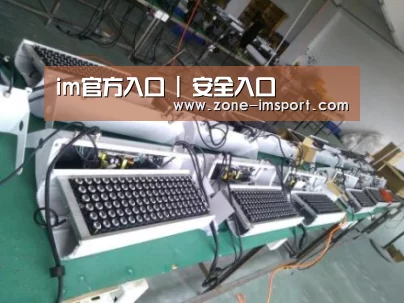im入口案例展示一