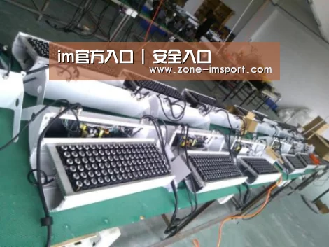 im入口案例展示一(图1)