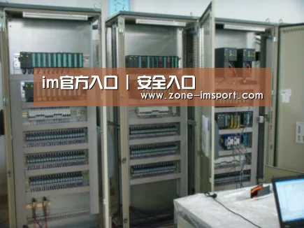 im入口案例展示五(图1)