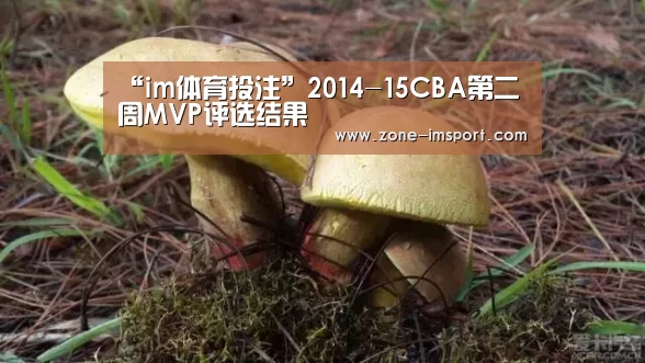 im体育官网