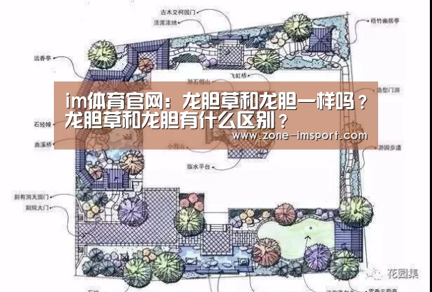 im体育