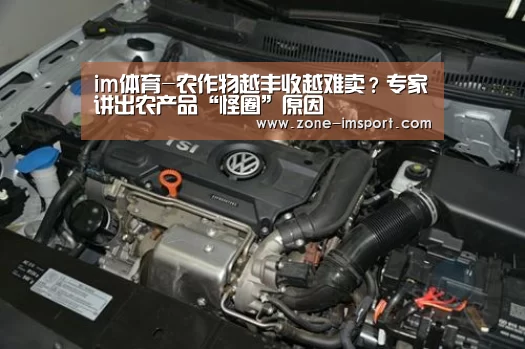 im体育-农作物越丰收越难卖?专家讲出农产品“怪圈”原因(图1) im体育投注