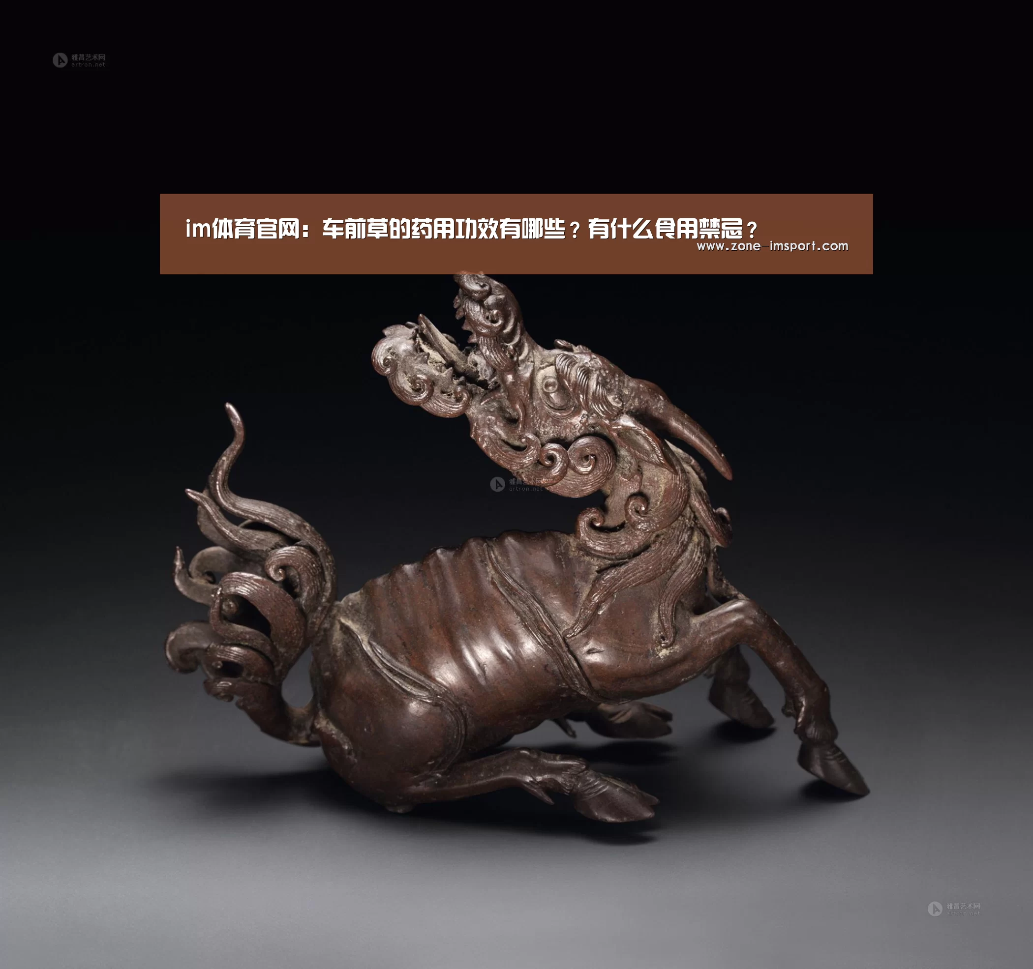 im体育投注