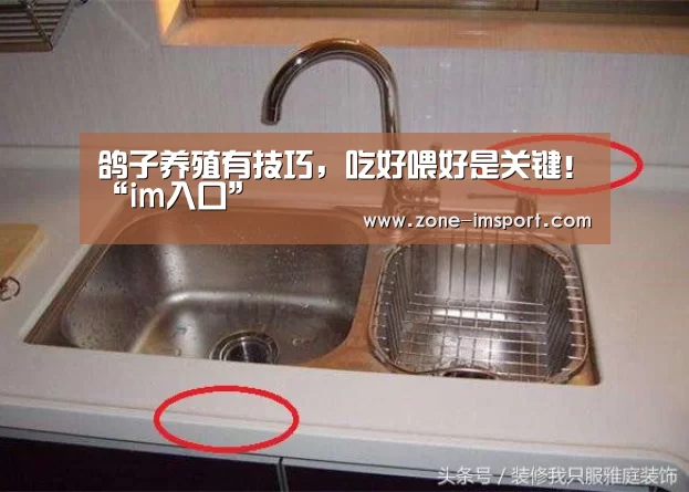 鸽子养殖有技巧,吃好喂好是关键!“im入口”(图1) im体育投注